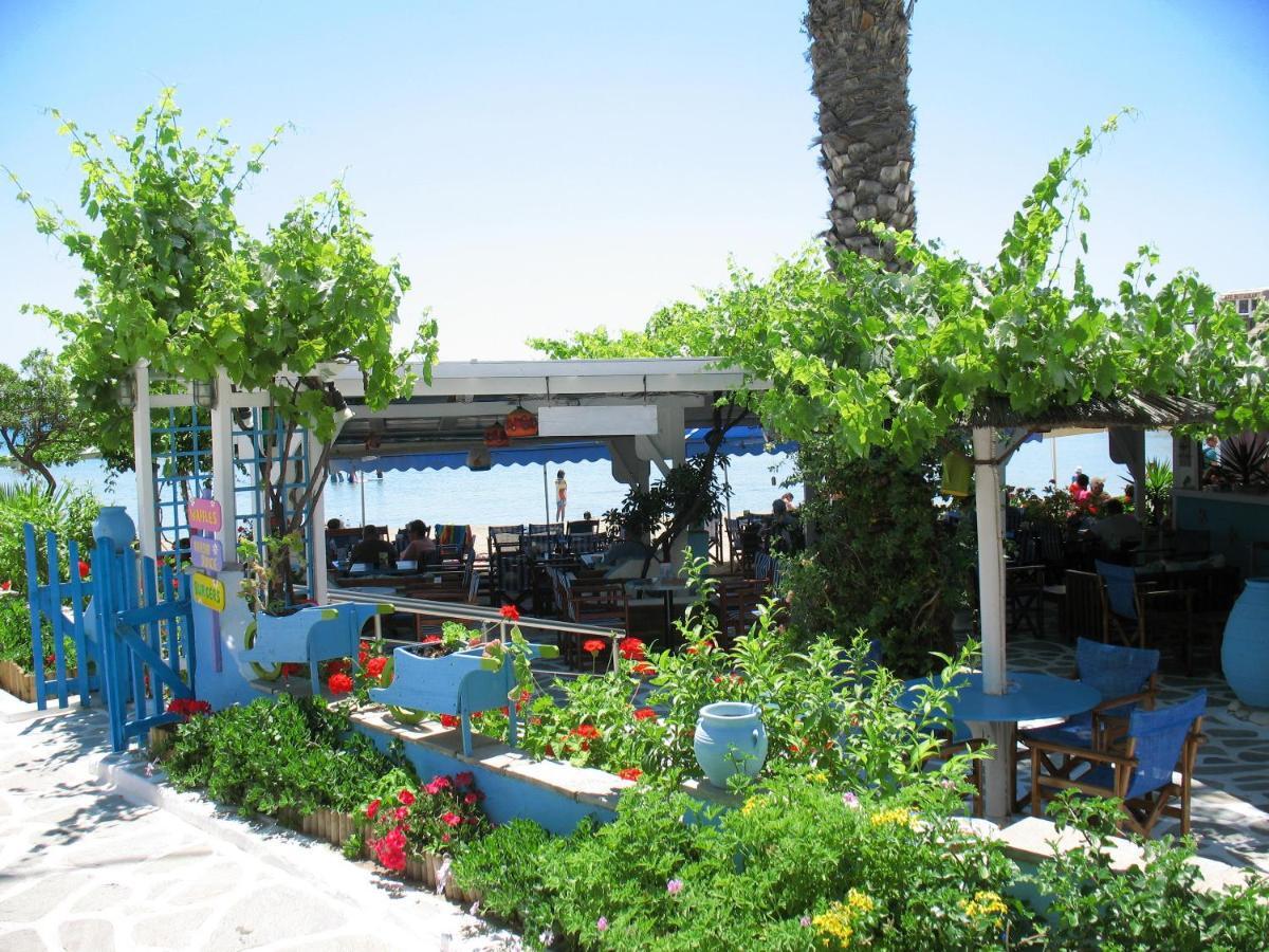 Diogenis Studios Naxos City Luaran gambar